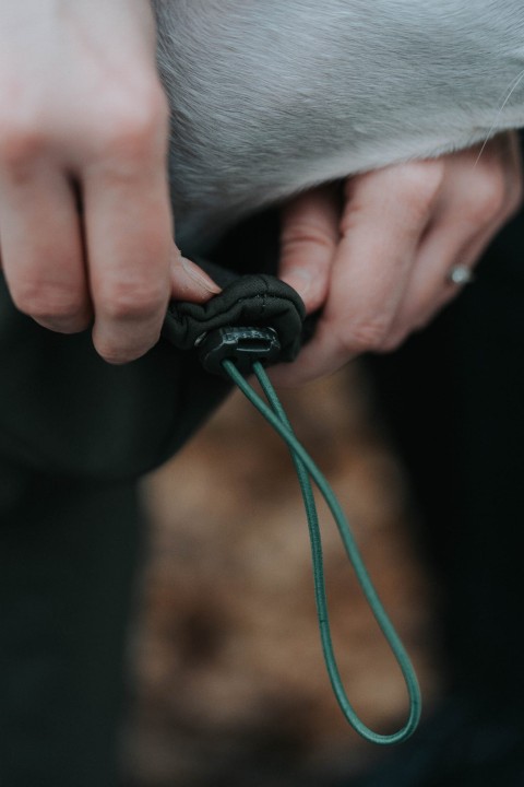 Regulacja kołnierza ściągaczem w wodoodpornej kurtce khaki dla chartów – bariera dla deszczu i chłodu.