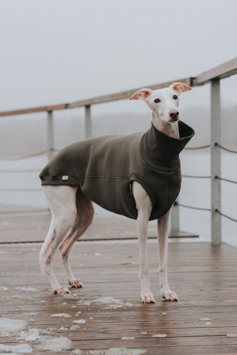 Bluza bez rękawów dla charta z wysokim kołnierzem, wykonana z dresówki khaki.