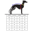 Rozmiarówka bluza bez rękawów niebieska dla charta greyhound i whippet.